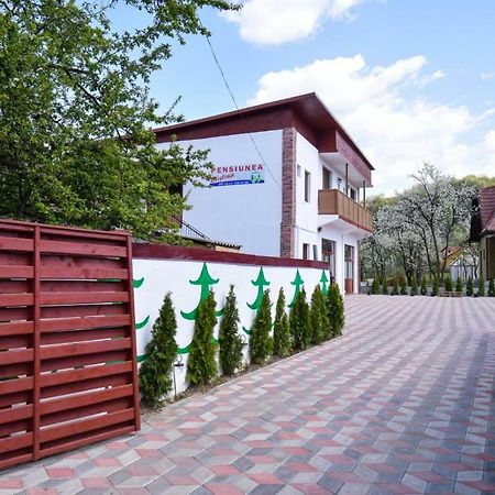 Pensiunea Cristina Vişeu de Sus Exterior foto