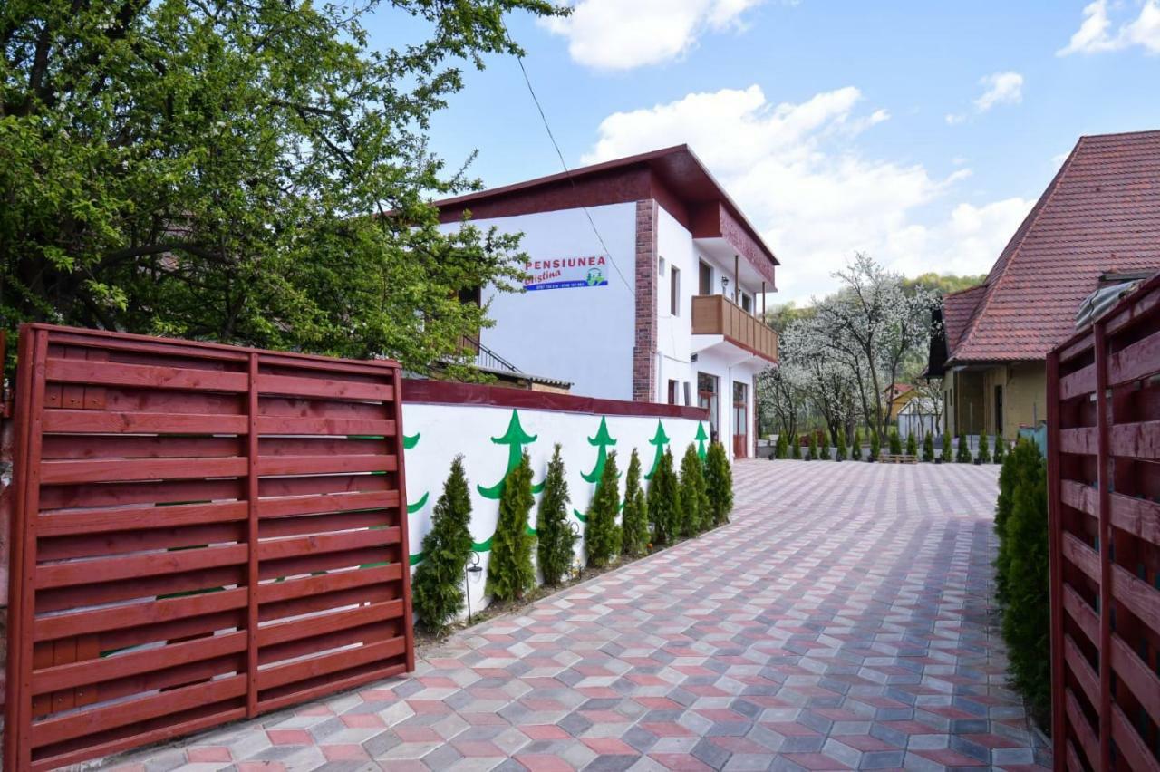 Pensiunea Cristina Vişeu de Sus Exterior foto
